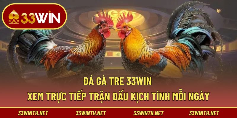Đá gà tre 33win
