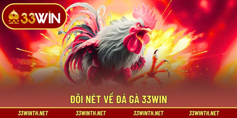 Tổng quan về đá gà 33win
