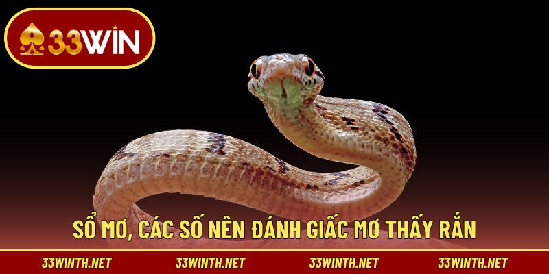 Sổ mơ, các số nên đánh giấc mơ thấy rắn