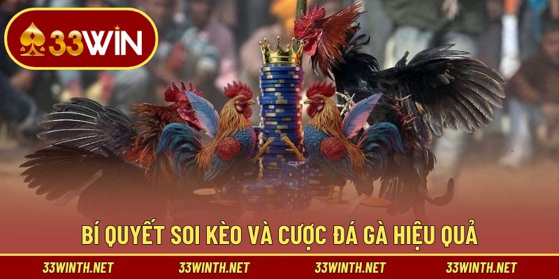 Chiến thuật chơi đá gà Thomo hay nhất