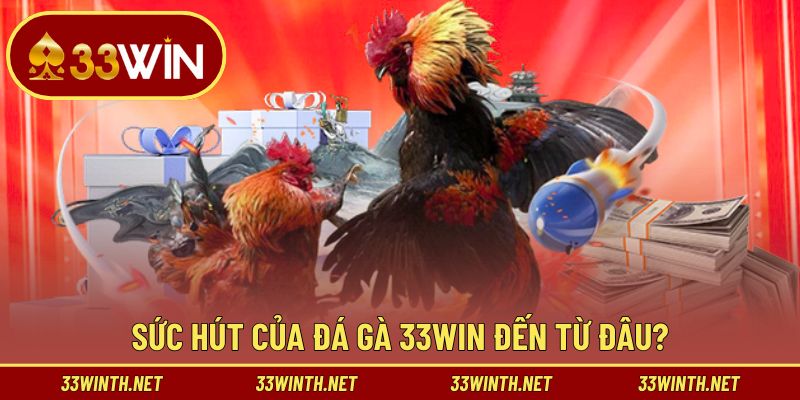 Review ưu điểm nổi bật của sảnh chơi