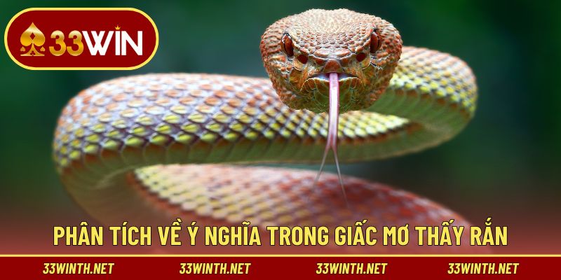 Phân tích về ý nghĩa trong giấc mơ thấy rắn